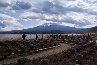 邮报：水晶宫打算解雇霍奇森，洛佩特吉等人在新帅候选名单上